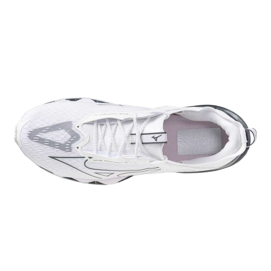 Tênis Mizuno Wave Prophecy 14 - QUEIMA DE ESTOQUE